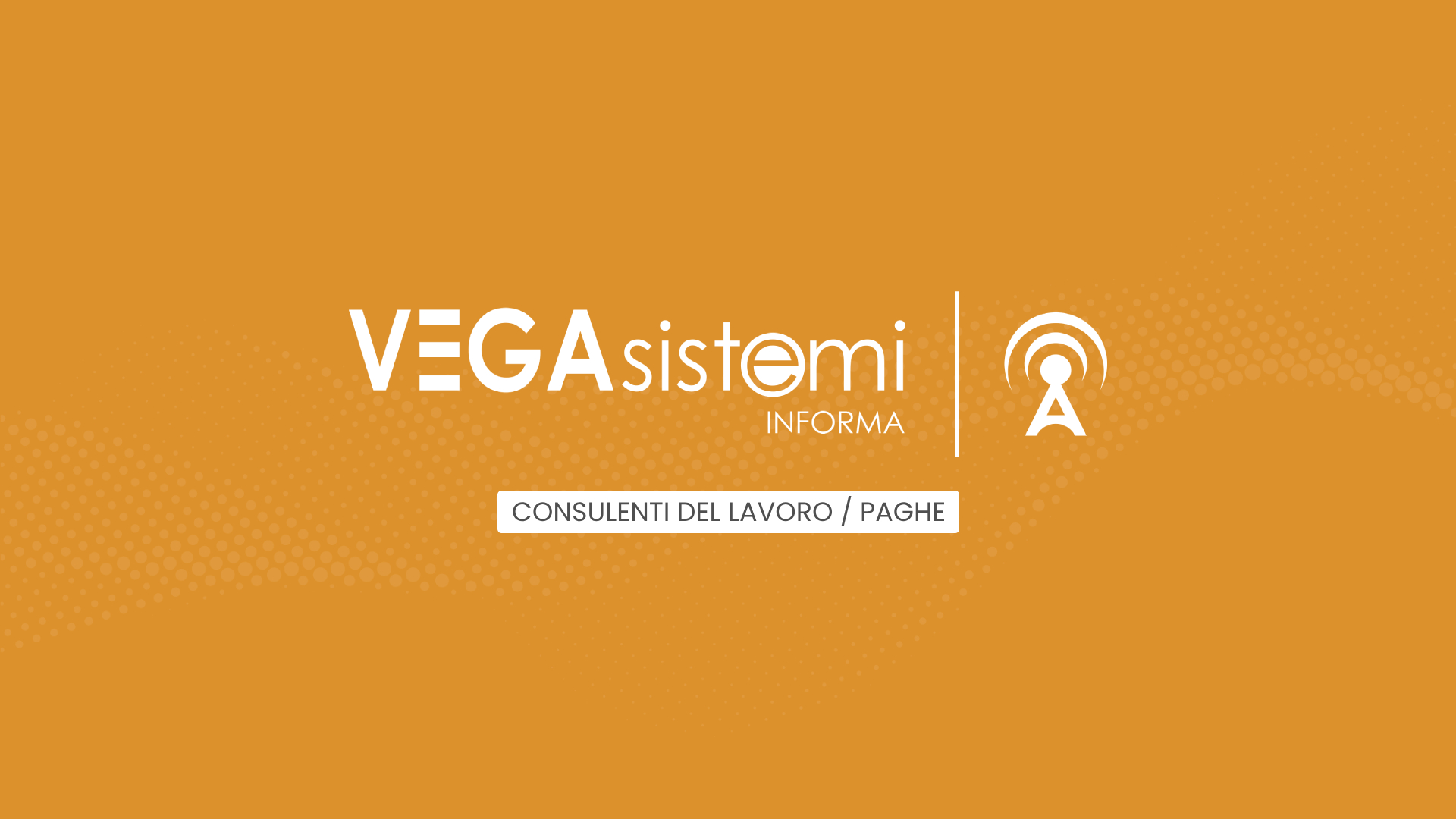 Consulenti del lavoro / Paghe - VEGA Sistemi Informa